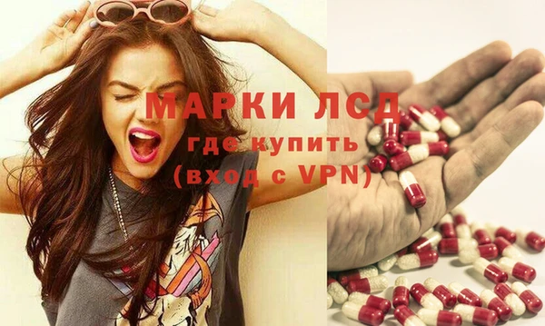 альфа пвп Новодвинск