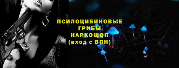 альфа пвп Новодвинск