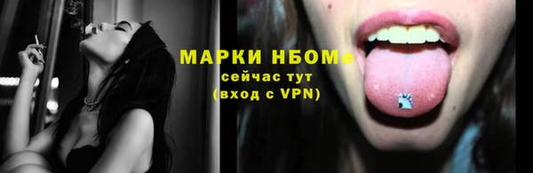 альфа пвп Новодвинск