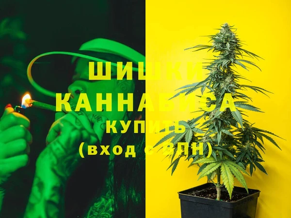 альфа пвп Новодвинск