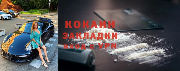 альфа пвп Новодвинск