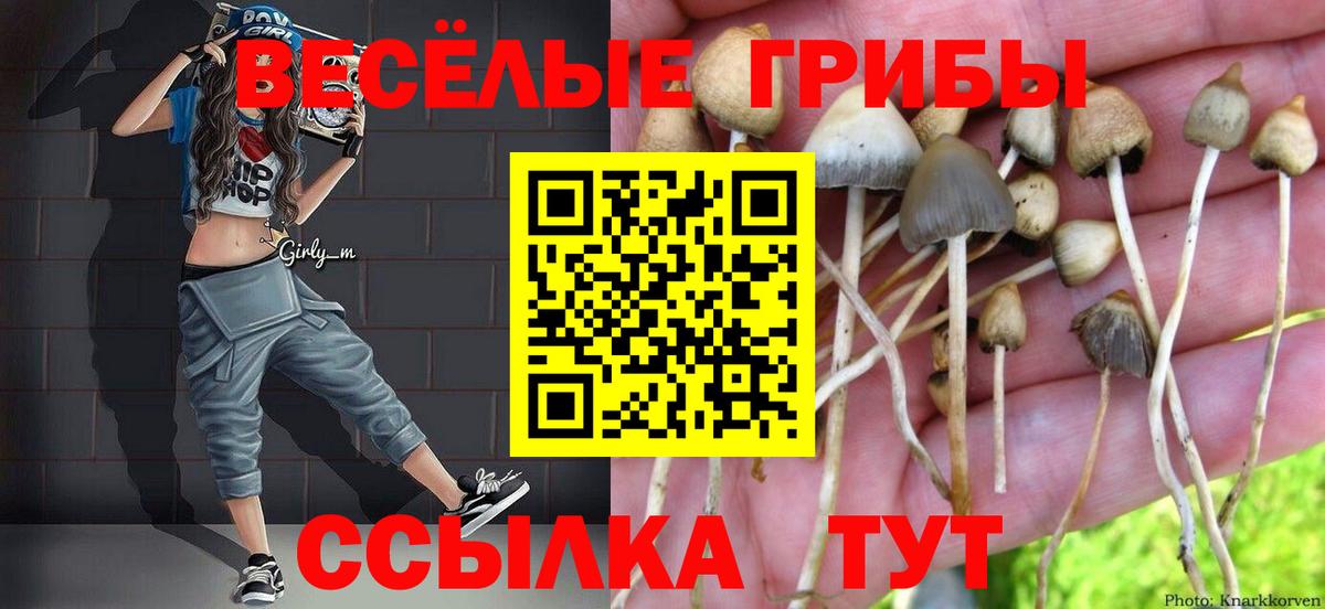 Светлоград  наркота  Вход с VPN  Галлюциногенные грибы ЛСД  Галлюциногенные грибы GOLDEN TEACHER 
